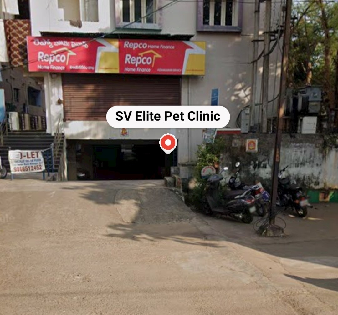 SV Elite Pet Clinic